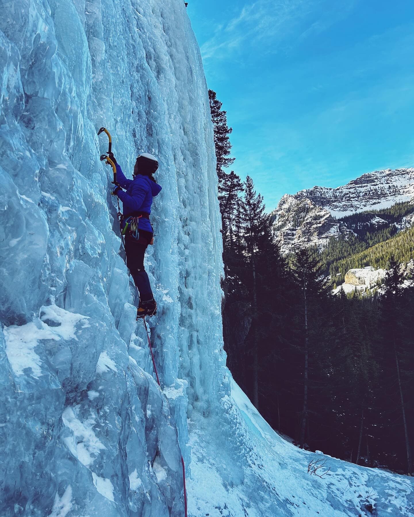 Kletterabenteuer mit Mammut