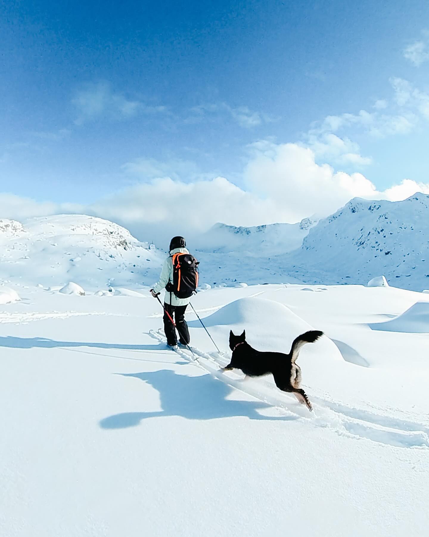 Wintersport mit Mammut