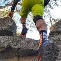 Gipfelstürmer mit Mammut